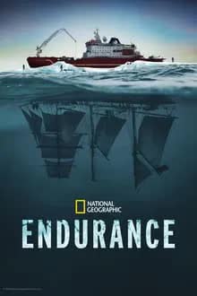 Endurance (2024) [NoSub]