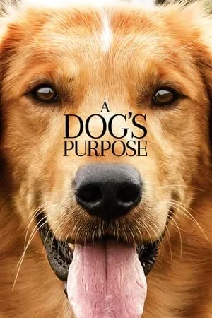A Dog's Purpose (2017) หมา เป้าหมาย และเด็กชายของผม