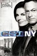 CSI New York Season 9 (2012)