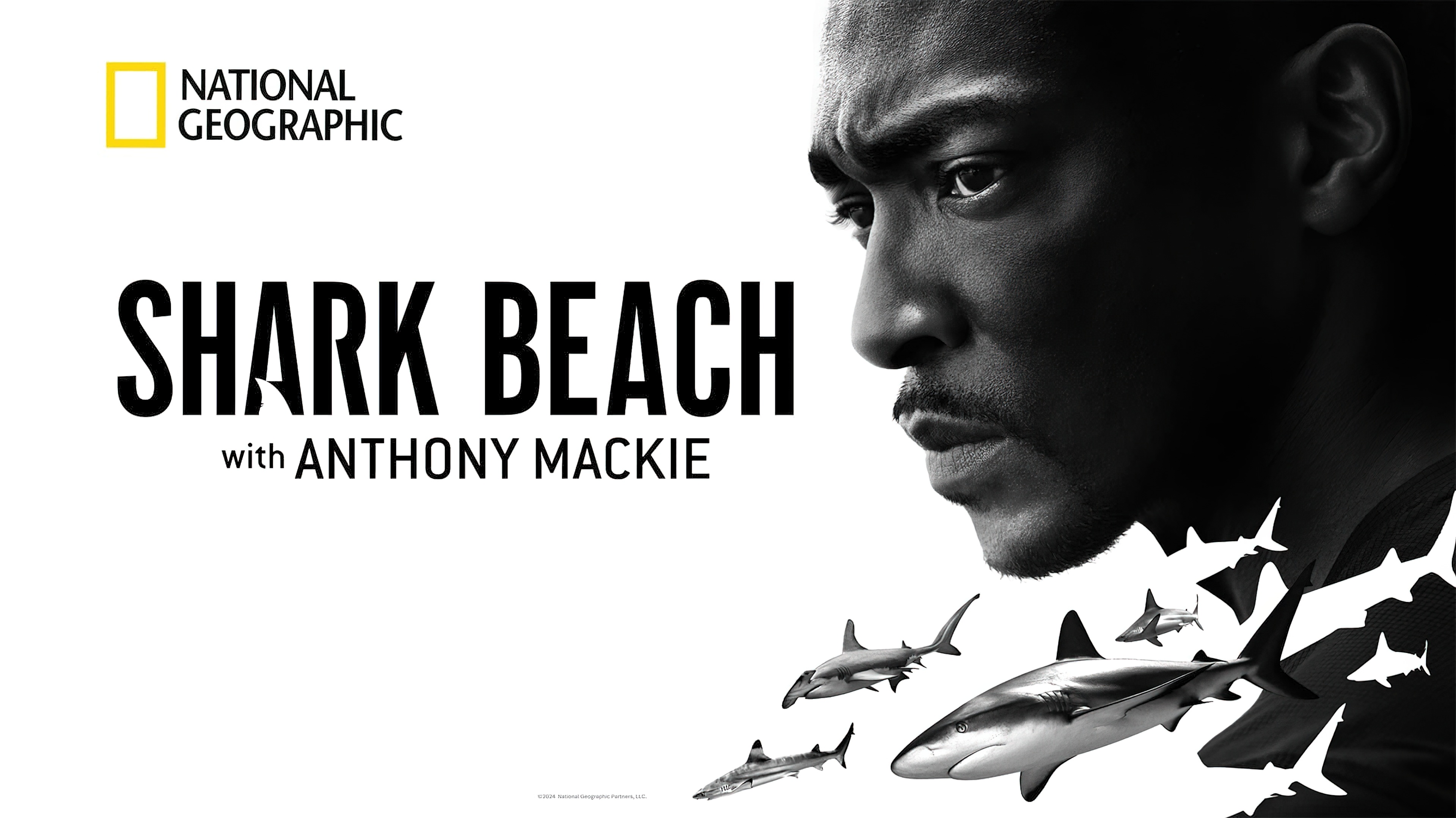 Shark Beach with Anthony Mackie (2024) [NoSub]