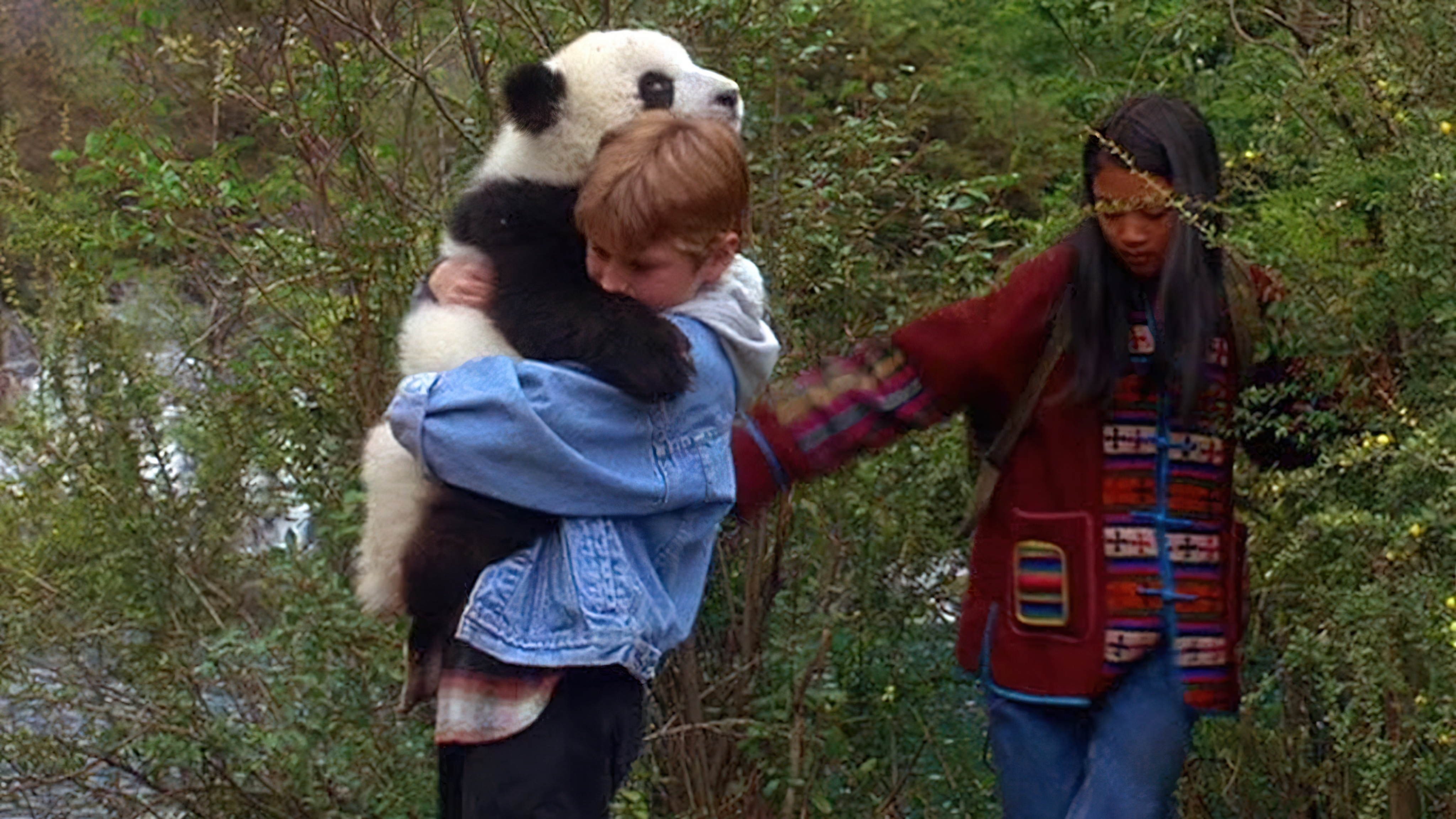 The Amazing Panda Adventure (1995) แพนด้าน้อยผจญภัยสุดขอบฟ้า