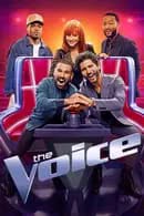 The Voice Season 25 (2024)