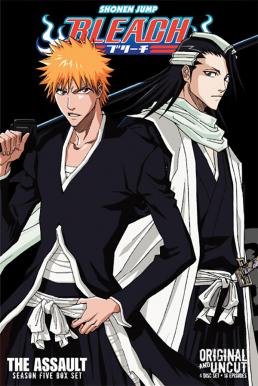 Bleach Season 5 (2006) เทพมรณะ ฤดูกาลที่ 5 กระหน่ำวิญญาณ