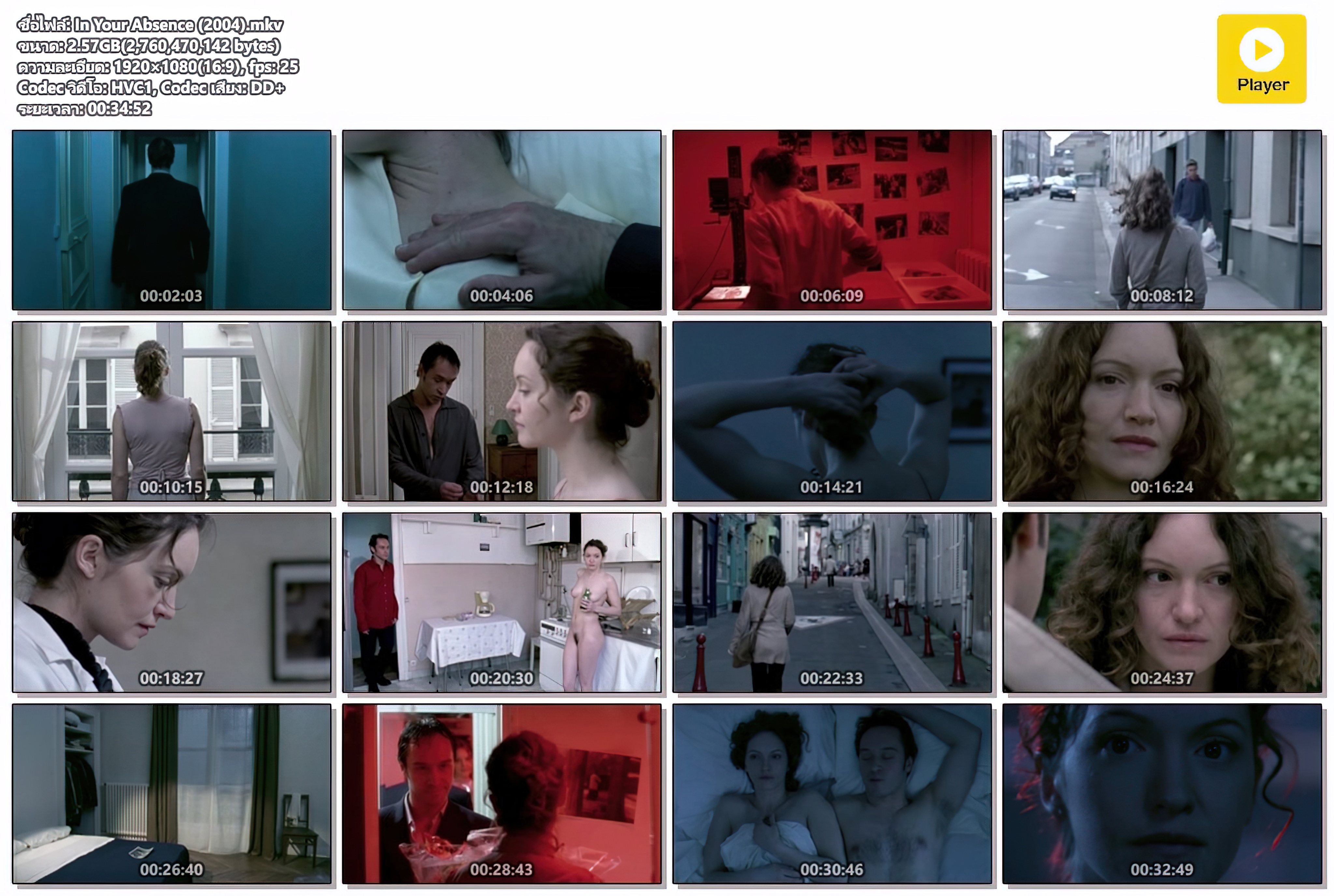 In Your Absence (2004) [ไม่มีซับไทย]