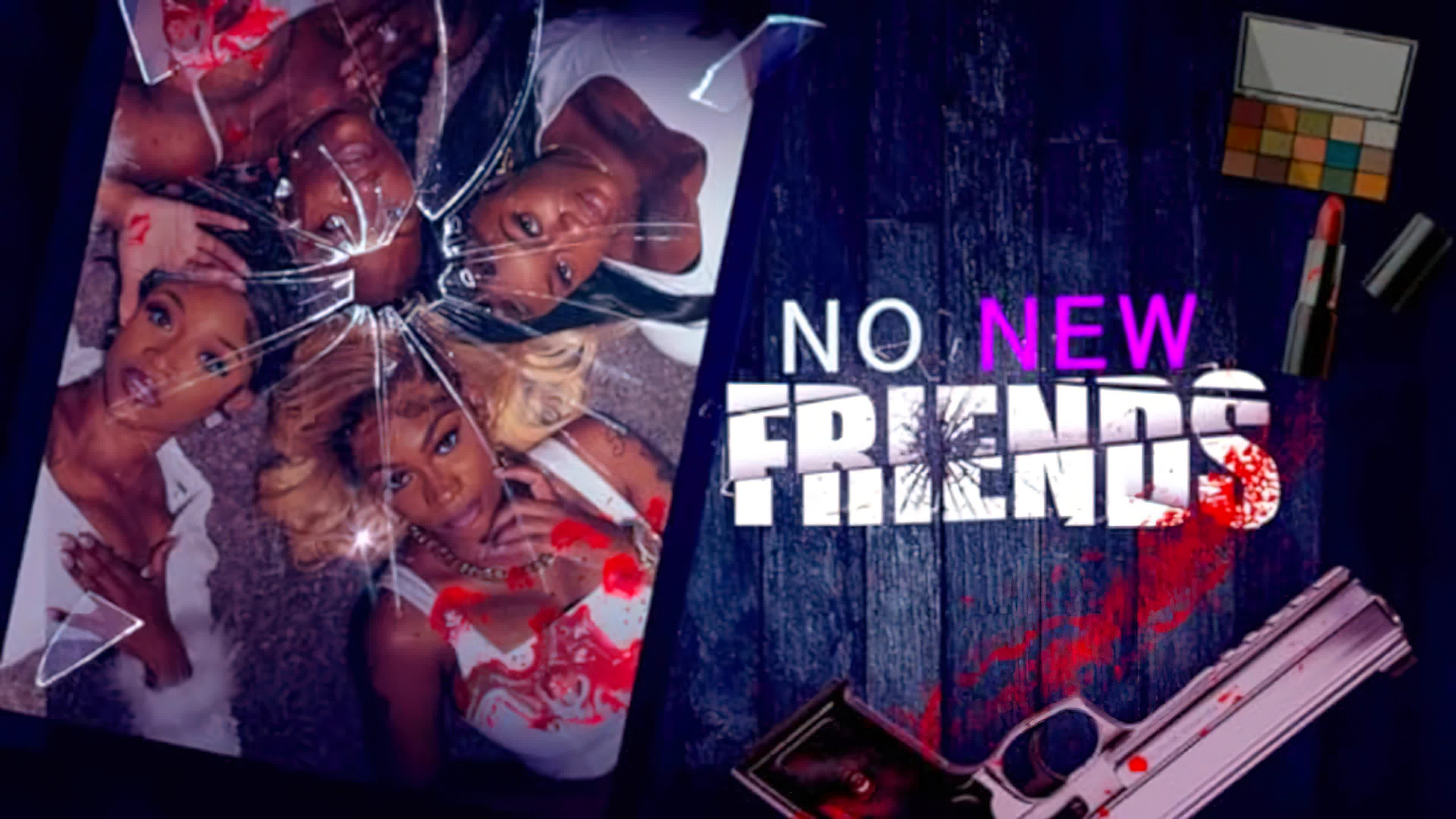 No New Friends (2024) [NoSub]